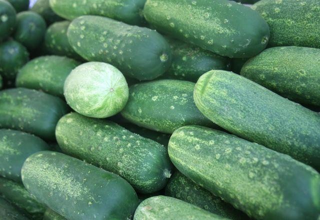Imagem da noticia Pepino caipira é o destaque da semana na lista de alimentos favoráveis para compra