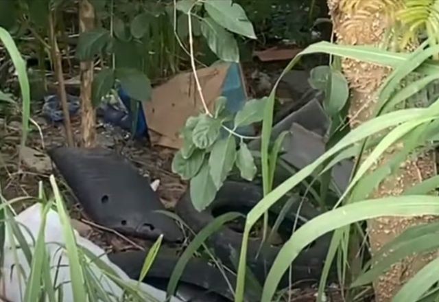 Imagem da noticia "Cemitério das motos": denúncia revela área de descarte de veículos roubados 