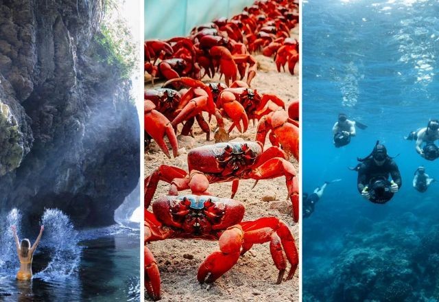 Imagem da noticia Conheça a Ilha do Natal, um paraíso de caranguejos vermelhos e mergulhadores