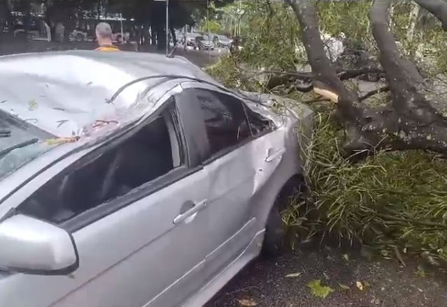 Temporal em São Paulo derruba árvores e deixa toda cidade em atenção para alagamentos