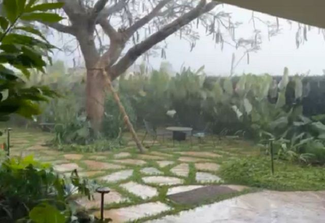Imagem da noticia DF teve pancadas de chuva nesta segunda-feira após 167 dias de seca, diz Inmet