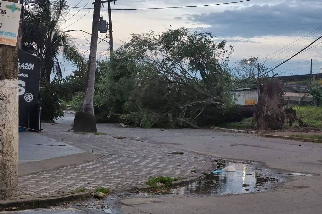 Imagem da noticia Semana começa com ciclone e ar frio em SP; saiba até quando dura a ventania e como ficará o tempo