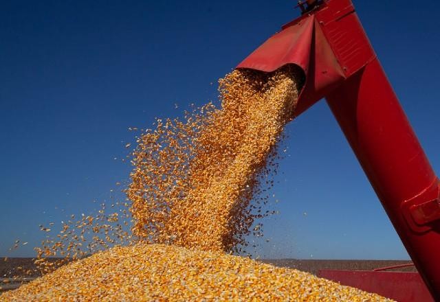 Com "safrinha" do milho, Brasil deve bater recorde de produção de grãos