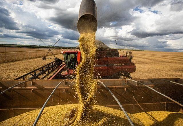 Imagem da noticia Liberações de agrotóxicos terão que ser "revisitadas", diz novo ministro