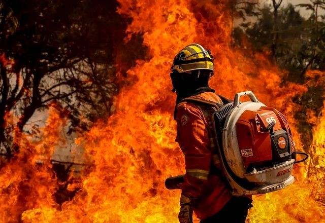 Imagem da noticia Governo propõe Orçamento de 2025 com 21% mais recursos para combate a incêndios