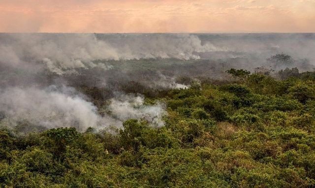 Quase 9% do Pantanal já foi queimado por incêndios neste ano