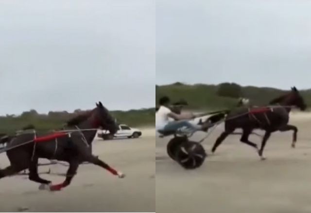 Imagem da noticia Cinco se tornam réus após ciclista ser atropelada e morta por corrida de charrete no litoral de São Paulo