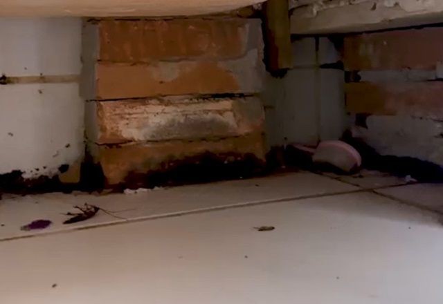 Imagem da noticia Mãe vistoria creche, encontra baratas apelidadas de "Nicole" e sujeira na cozinha 
