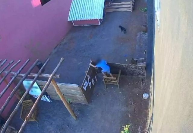 Imagem da noticia Criança de 9 anos invade hospital veterinário, maltrata e mata 23 animais no Paraná 