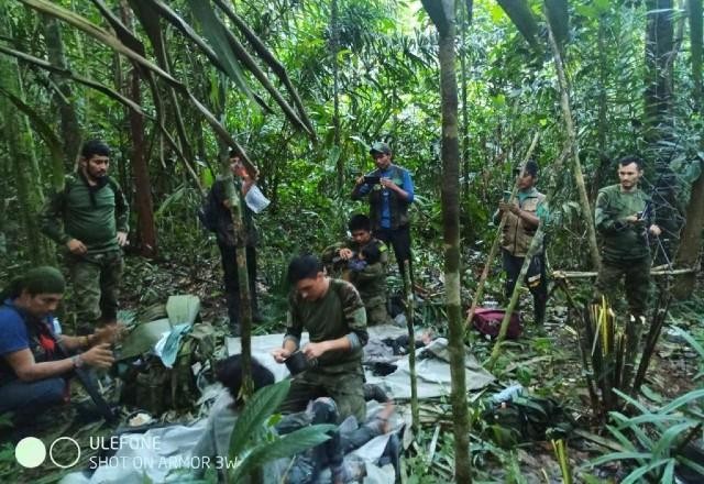 Imagem da noticia Crianças são encontradas com vida 40 dias após acidente aéreo na Colômbia
