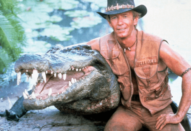 Imagem da noticia Astro dos anos 80, crocodilo Burt morre aos 90 anos