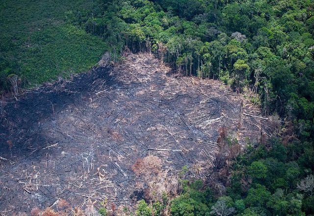 Desmatamento na Amazônia chega a 80 mil campos de futebol em outubro