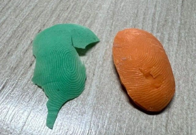 Imagem da noticia Servidores são presos após fraudar ponto eletrônico com "dedo de silicone" em prefeitura de SC