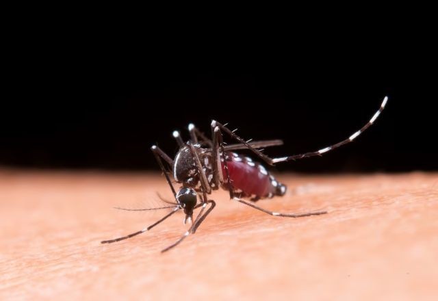 Imagem da noticia Dengue: Belo Horizonte decreta situação de emergência