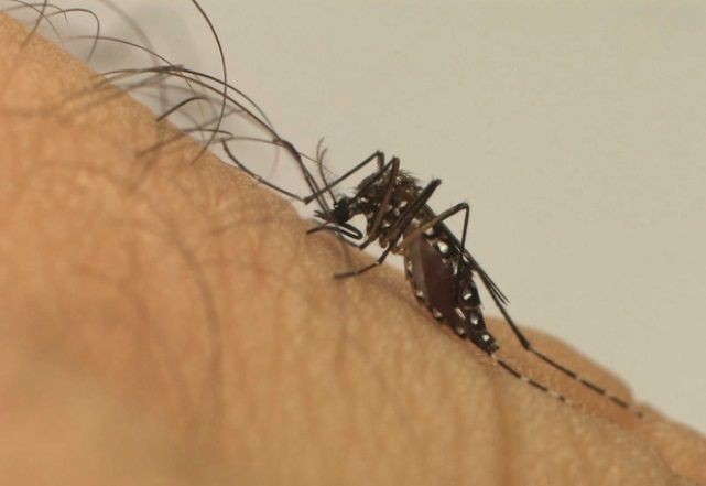 Estado do Rio já tem quase 80% dos casos de dengue registrados em todo ano passado