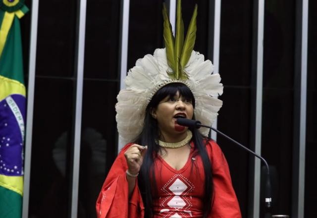 Imagem da noticia Câmara aprova projeto para que indígenas decidam nomes de escolas em territórios