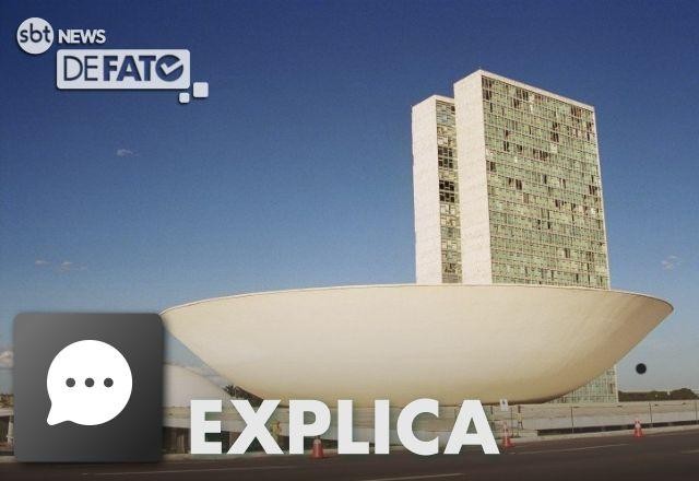 EXPLICA: Por que alguns estados têm mais deputados federais?