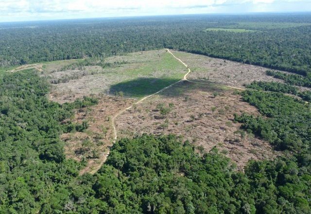 Justiça determina bloqueio de R$ 292 milhões em bens de pecuarista para compensar desmatamento