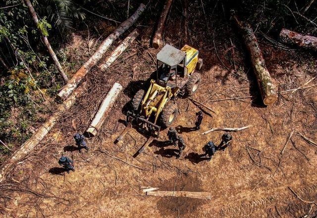 Imagem da noticia Alertas de desmatamento na Amazônia caem 64% em fevereiro