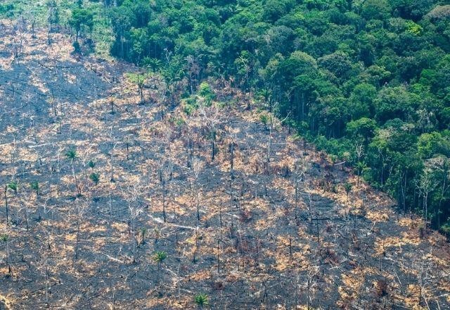 Imagem da noticia Taxa de desmatamento na Amazônia aumenta quase 70% em janeiro 