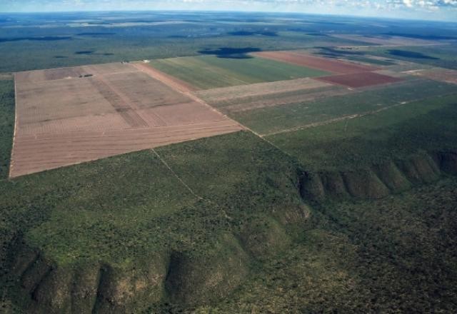 Imagem da noticia Dados do Inpe indicam desmatamento florestal recorde em outubro