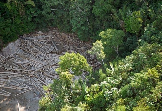Imagem da noticia Relatório do Imazon mostra pressão do desmatamento sobre terras indígenas