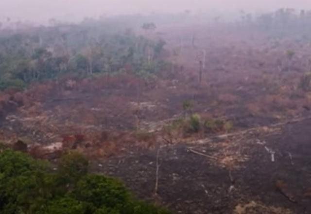 Imagem da noticia Desmatamento na Amazônia atinge área 3 vezes maior que Belo Horizonte