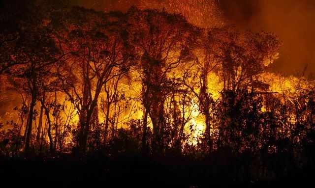 Defensoria da União pede ações urgentes contra queimadas em terras indígenas do MT