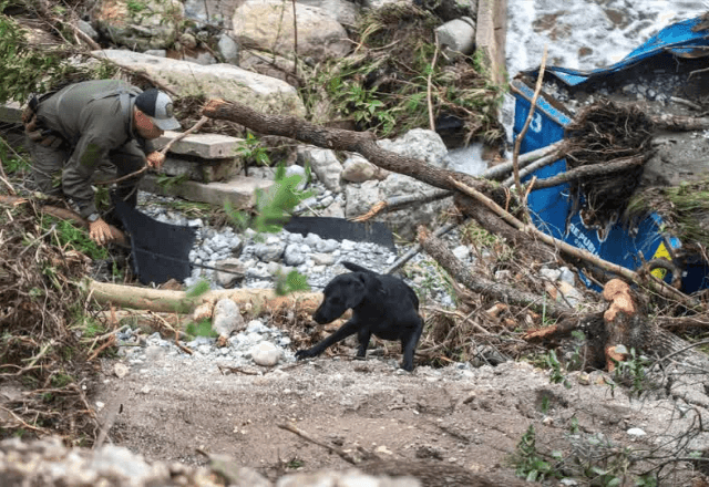 Imagem da noticia Número de mortos nas enchentes no Texas sobe para 67; veja imagens da destruição