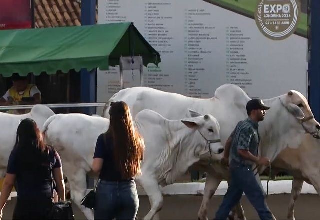 Imagem da noticia ExpoLondrina: uma das maiores feiras agropecuárias da América Latina termina neste domingo
