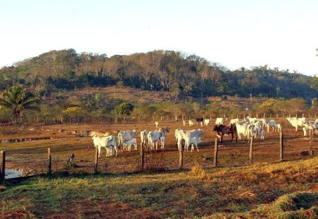Imagem da noticia Agricultura profissional: produtores rurais precisam cumprir normas rígidas para prosperarem 