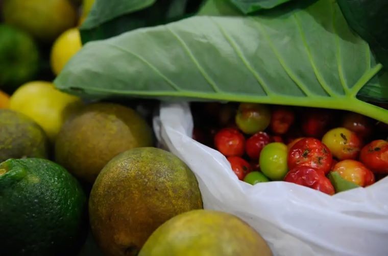 Imagem da noticia Lula sanciona com vetos lei sobre agrotóxicos no Brasil