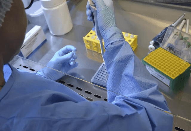 Imagem da noticia OMS lança primeiras diretrizes globais para tratar infertilidade; SUS oferece atendimento limitado