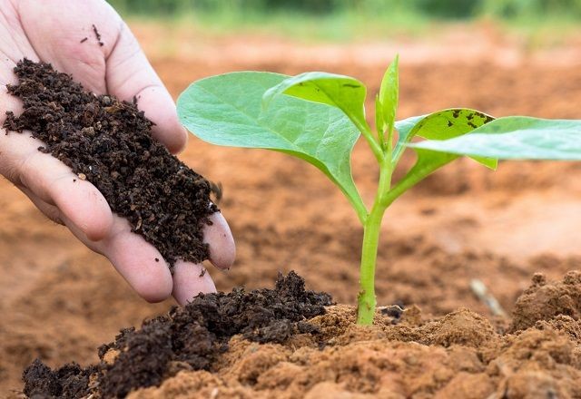 Imagem da noticia Brasil e Bolívia assinam acordo para aumentar produção de fertilizantes nos dois países