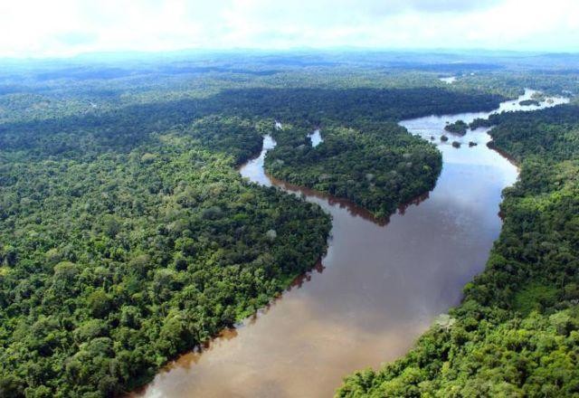 Imagem da noticia COP26: Líderes mundiais assinam nesta 3ª declaração para proteger florestas