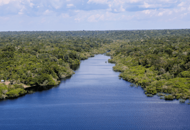 Imagem da noticia Unidades de conservação da Amazônia tiveram menor desmatamento em 10 anos no primeiro semestre de 2024