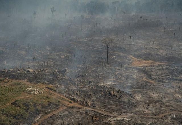 Imagem da noticia MPF investiga atuação do governo Bolsonaro na área ambiental