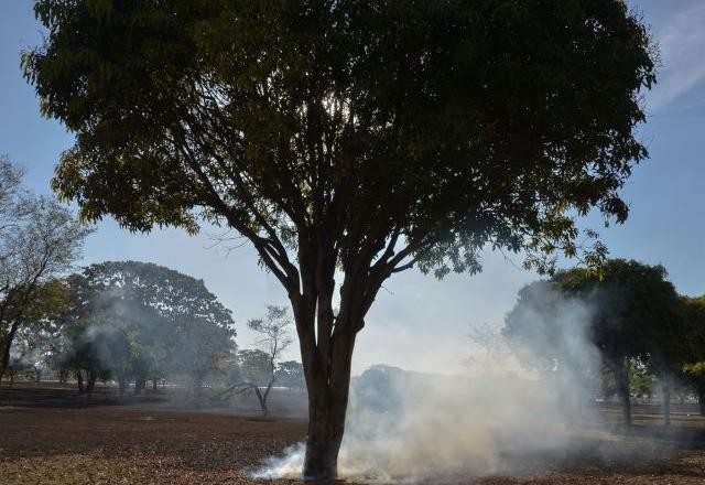 Imagem da noticia Cúpula do Clima: entenda o que é e quais serão os impactos no Brasil