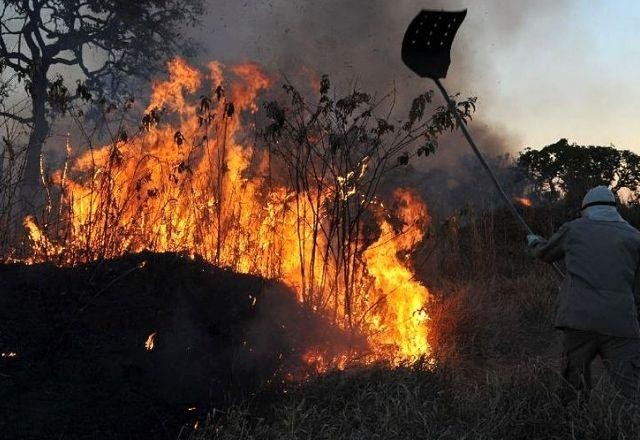 Imagem da noticia Ibama reafirma autonomia no combate a incêndios após fim da ajuda dos EUA 