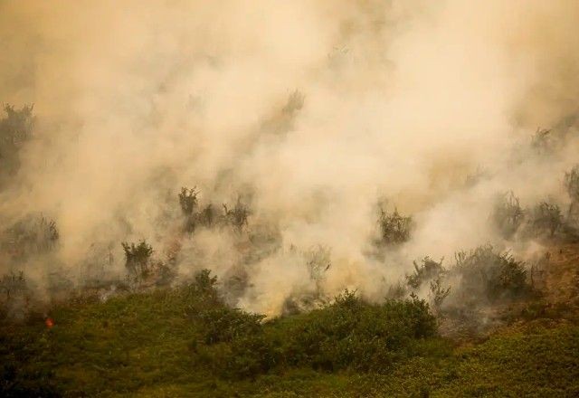 Imagem da noticia Só em agosto, SP deve registrar o dobro de incêndios se comparado a todo 2023