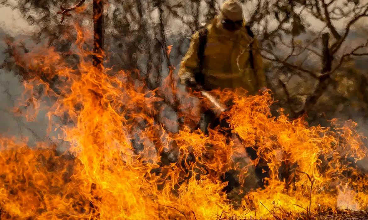 Imagem da noticia Câmara não tem previsão para votar aumento de pena a crimes ambientais