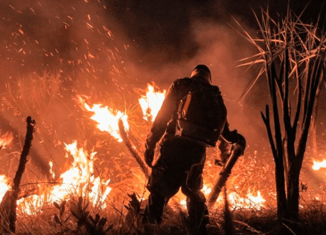 Imagem da noticia Parque Nacional da Chapada dos Veadeiros (GO) permanece fechado para visitação após novo incêndio