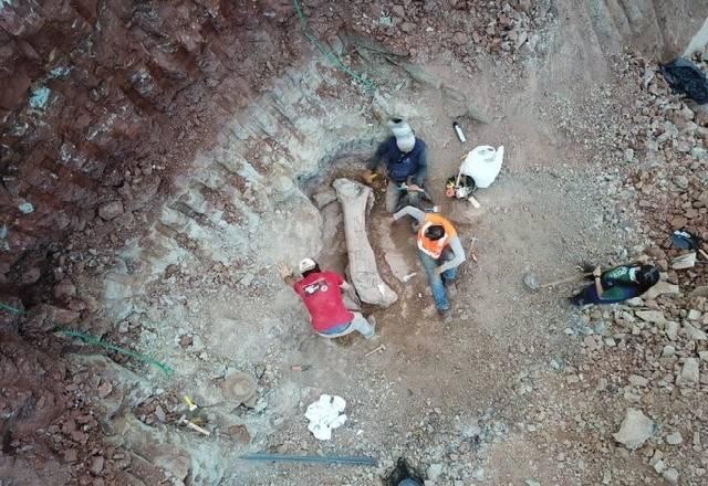 Imagem da noticia Fósseis de dinossauro são encontrados no Maranhão