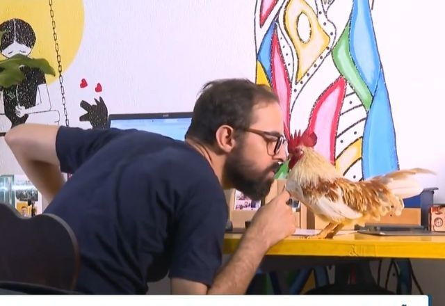 Imagem da noticia Galo adotado por professor vira influenciador no interior de SP
