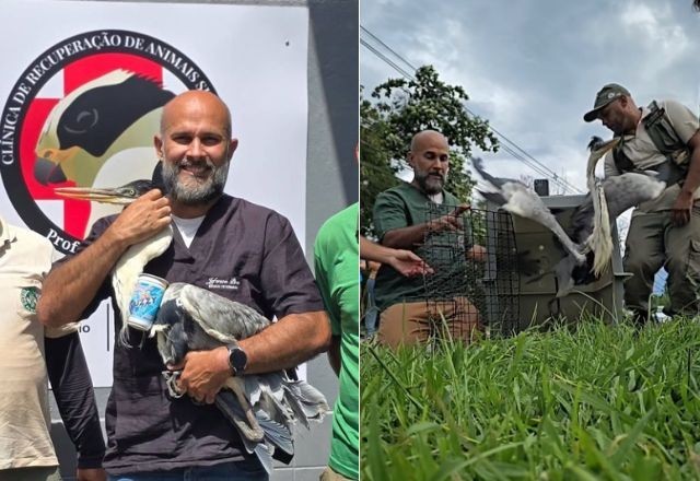 Imagem da noticia Garça resgatada com copo preso no pescoço é solta na natureza após cirurgia; veja vídeo