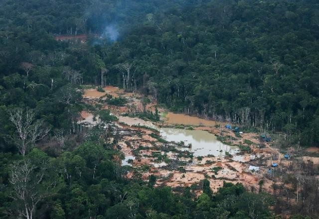 Imagem da noticia Ibama instala Sala de Situação e Controle na Terra Indígena Yanomami