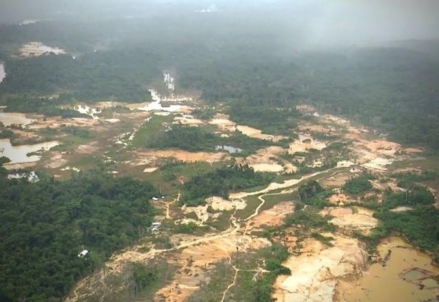 Imagem da noticia Governo Bolsonaro teve maior destruição da Amazônia em um mandato presidencial