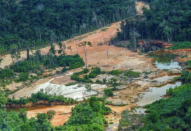 Imagem da noticia Alertas de garimpo ilegal zeram na Terra Yanomami pela primeira vez em 3 anos