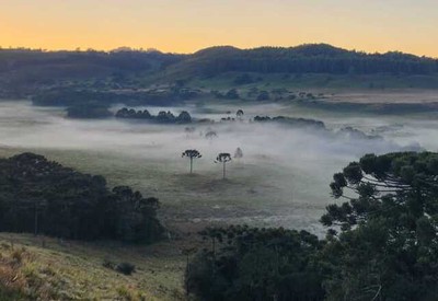 Quarta onda de frio derruba temperaturas em regiões do Brasil