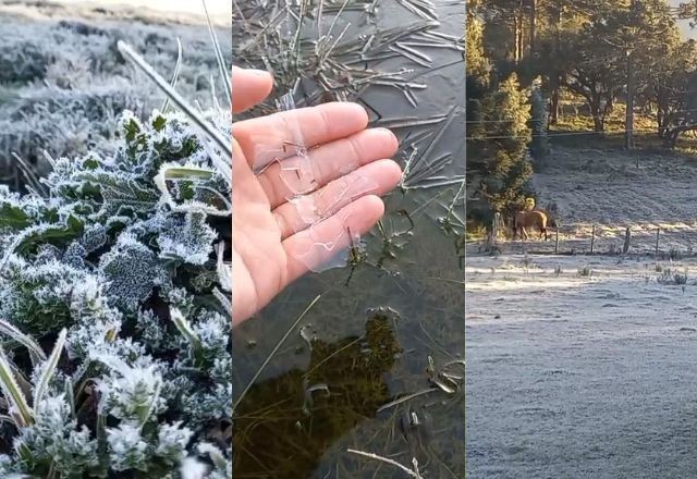 Imagem da noticia Serra Catarinense amanhece com frio intenso e geada; veja vídeos